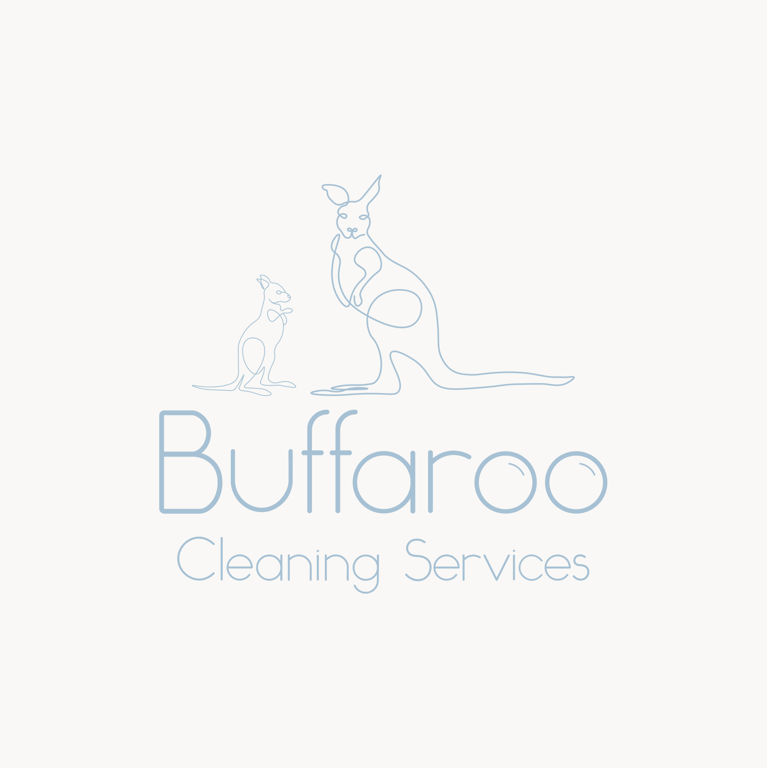 Buffaroo cleaning services special offer flyer