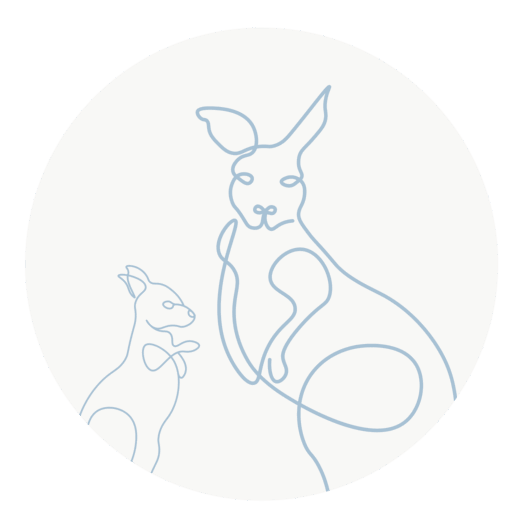 main icon of buffaroo cleaning services